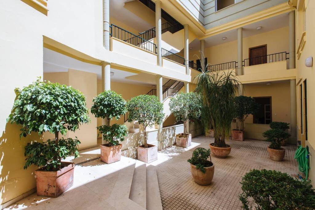 Cozy And Well Located Apartment In The Center Of Sevilla Exteriér fotografie